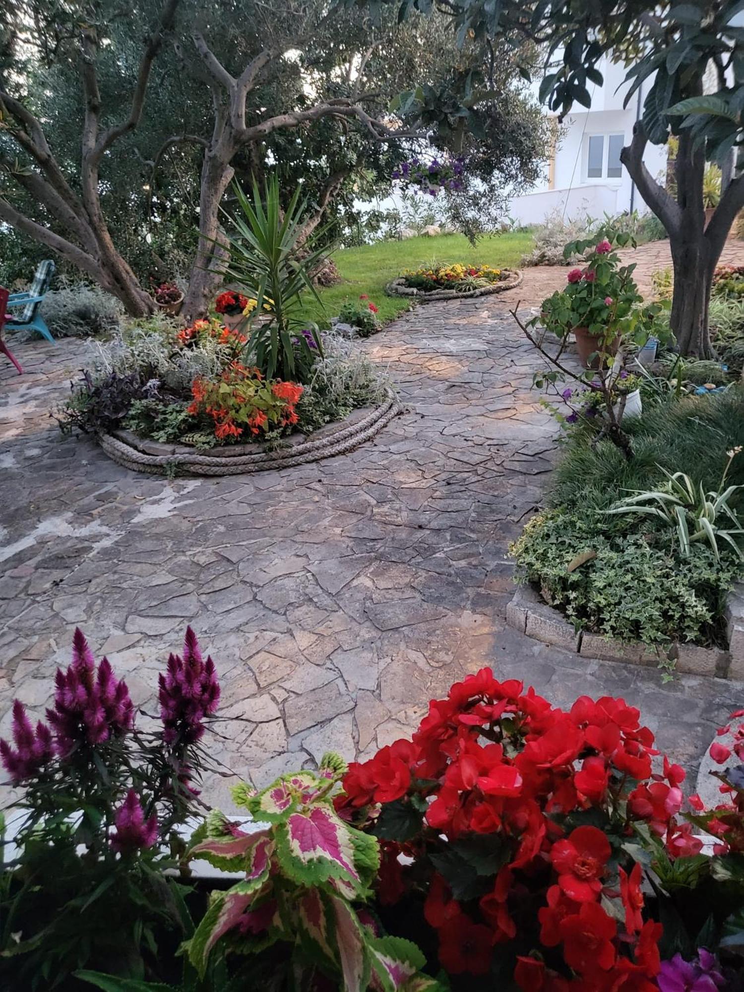Apartment Becica Omiš Buitenkant foto