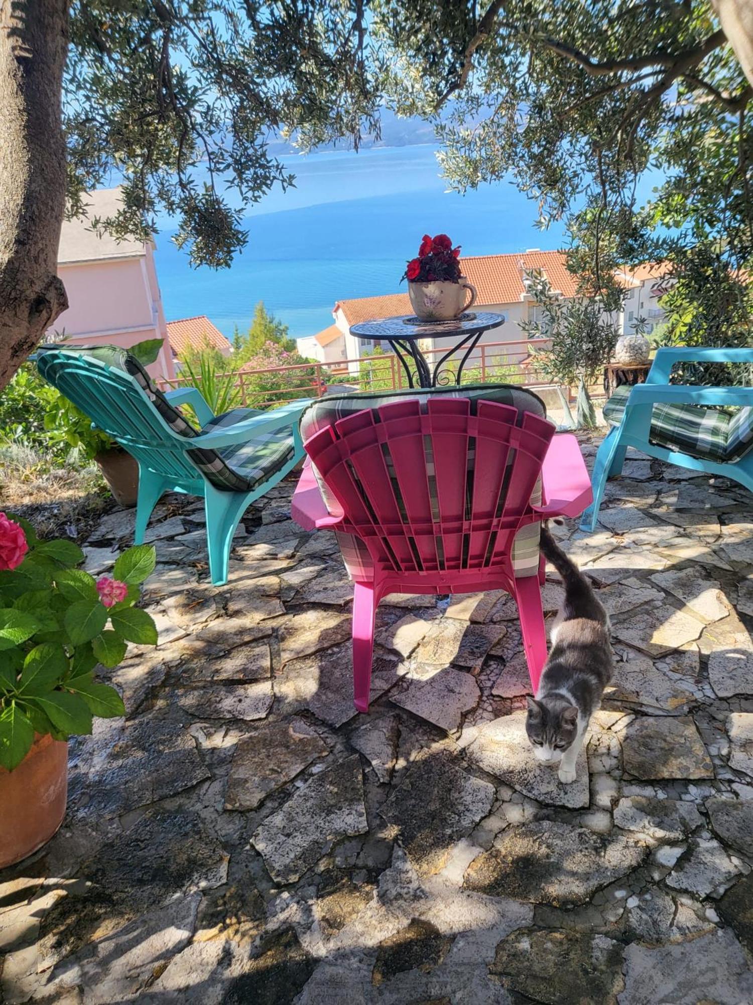 Apartment Becica Omiš Buitenkant foto